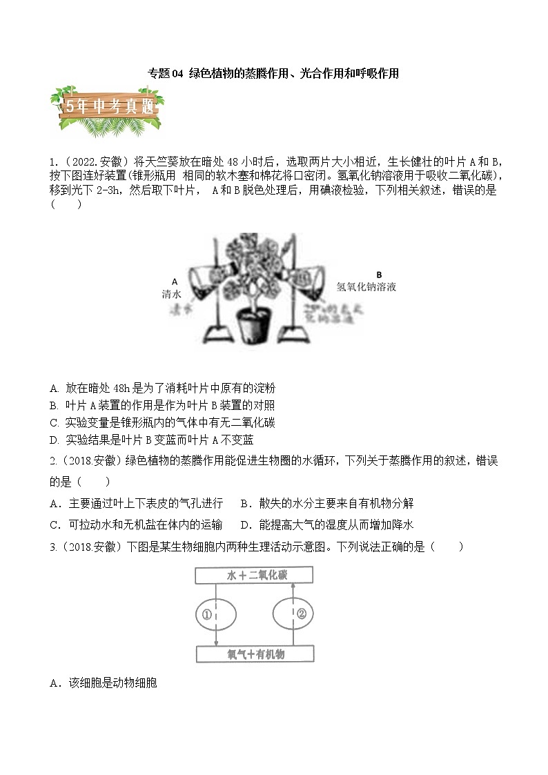 专题04 绿色植物的 蒸腾作用、光合作用和呼吸作用-5年（2018-2022）中考1年模拟生物分项汇编（安徽专用）（原卷版）第1页