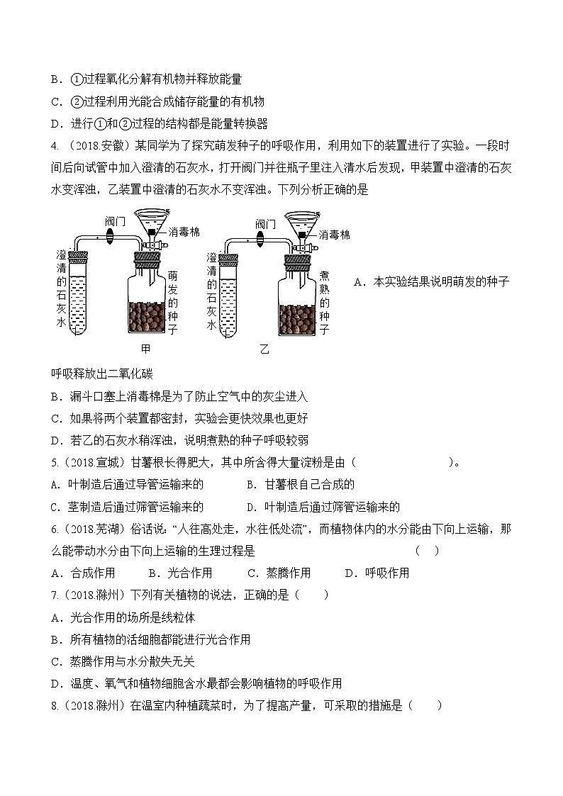 专题04 绿色植物的 蒸腾作用、光合作用和呼吸作用-5年（2018-2022）中考1年模拟生物分项汇编（安徽专用）（原卷版）第2页