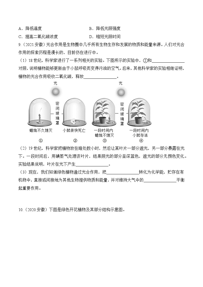 专题04 绿色植物的 蒸腾作用、光合作用和呼吸作用-5年（2018-2022）中考1年模拟生物分项汇编（安徽专用）（原卷版）第3页