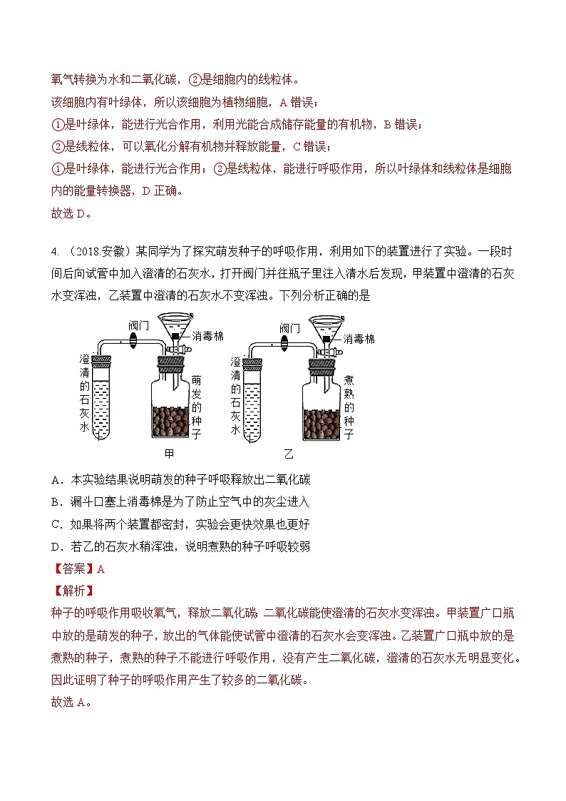 专题04 绿色植物的 蒸腾作用、光合作用和呼吸作用-5年（2018-2022）中考1年模拟生物分项汇编（安徽专用）（解析版）第3页