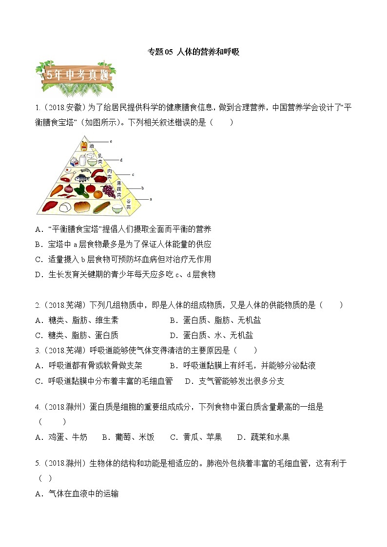专题05 人体的营养和呼吸-5年（2018-2022）中考1年模拟生物分项汇编（安徽专用）（原卷版）第1页