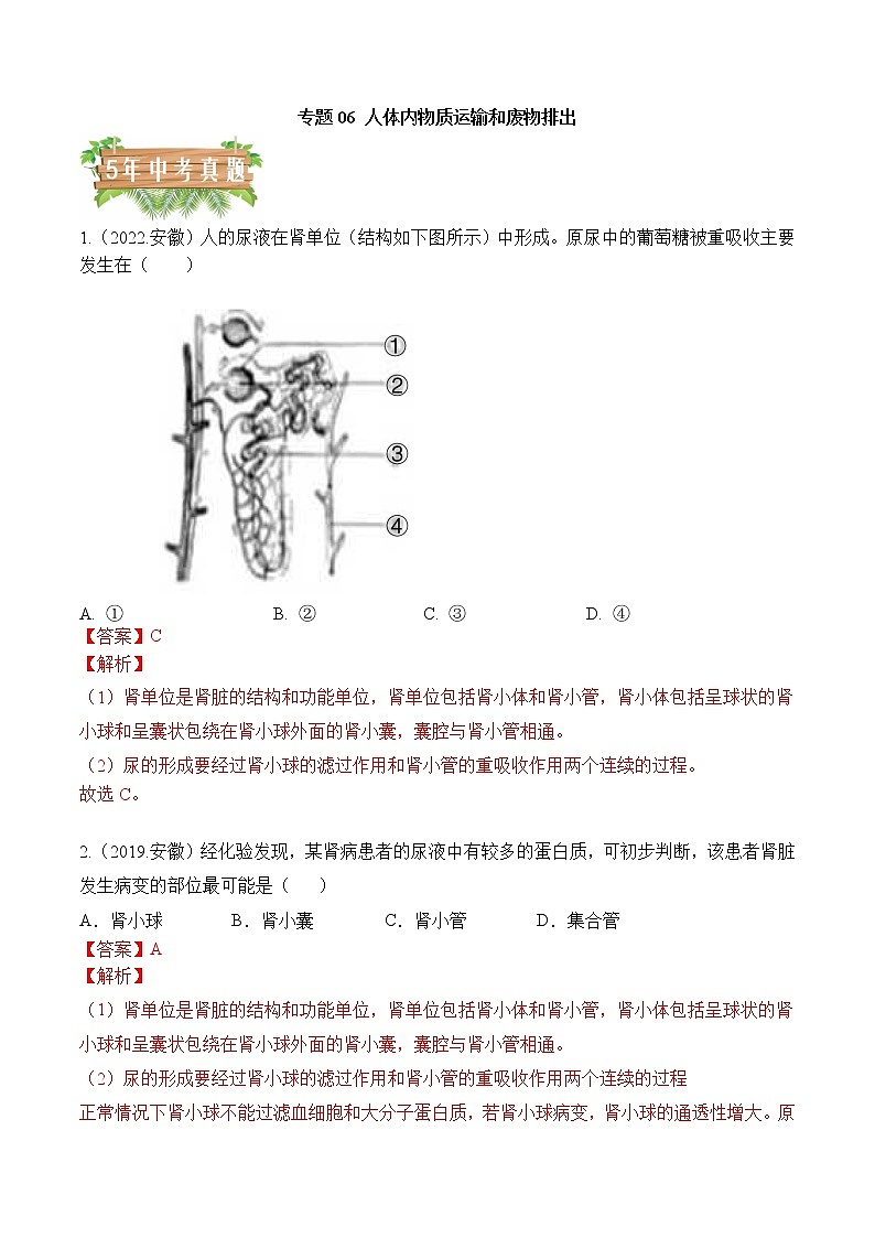 2018-2022年安徽中考生物5年真题1年模拟汇编 专题06 人体内物质的运输和废物排出（学生卷+教师卷）01