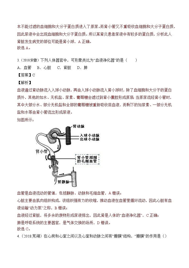 2018-2022年安徽中考生物5年真题1年模拟汇编 专题06 人体内物质的运输和废物排出（学生卷+教师卷）02