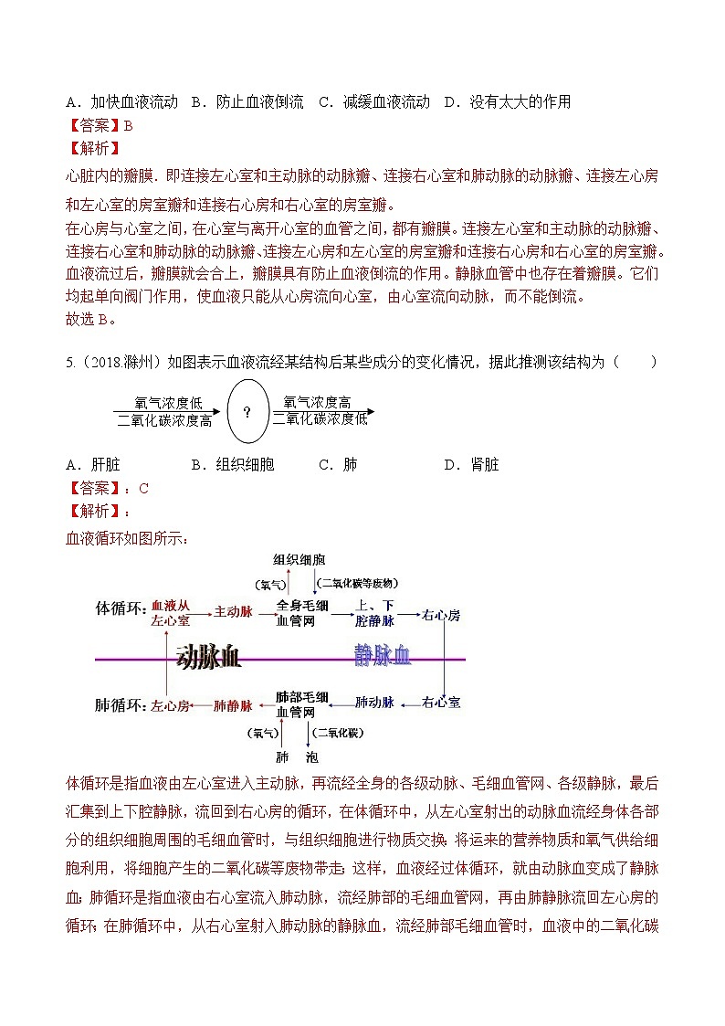 2018-2022年安徽中考生物5年真题1年模拟汇编 专题06 人体内物质的运输和废物排出（学生卷+教师卷）03