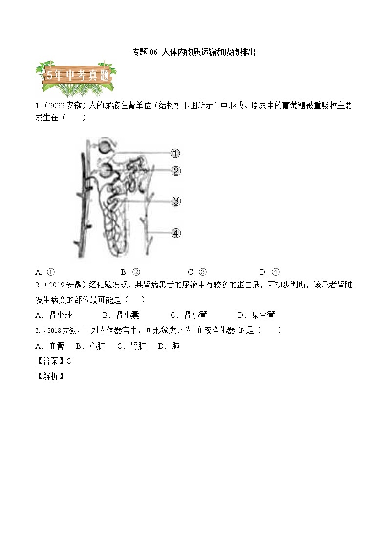 2018-2022年安徽中考生物5年真题1年模拟汇编 专题06 人体内物质的运输和废物排出（学生卷+教师卷）01