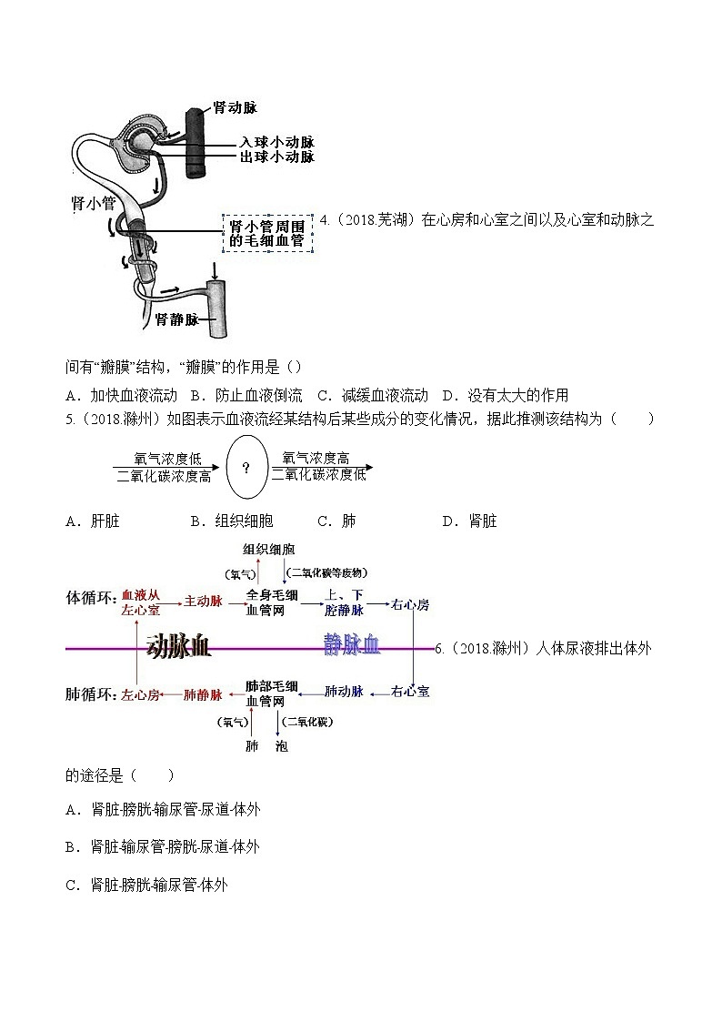 2018-2022年安徽中考生物5年真题1年模拟汇编 专题06 人体内物质的运输和废物排出（学生卷+教师卷）02
