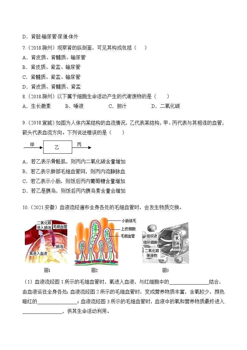 2018-2022年安徽中考生物5年真题1年模拟汇编 专题06 人体内物质的运输和废物排出（学生卷+教师卷）03