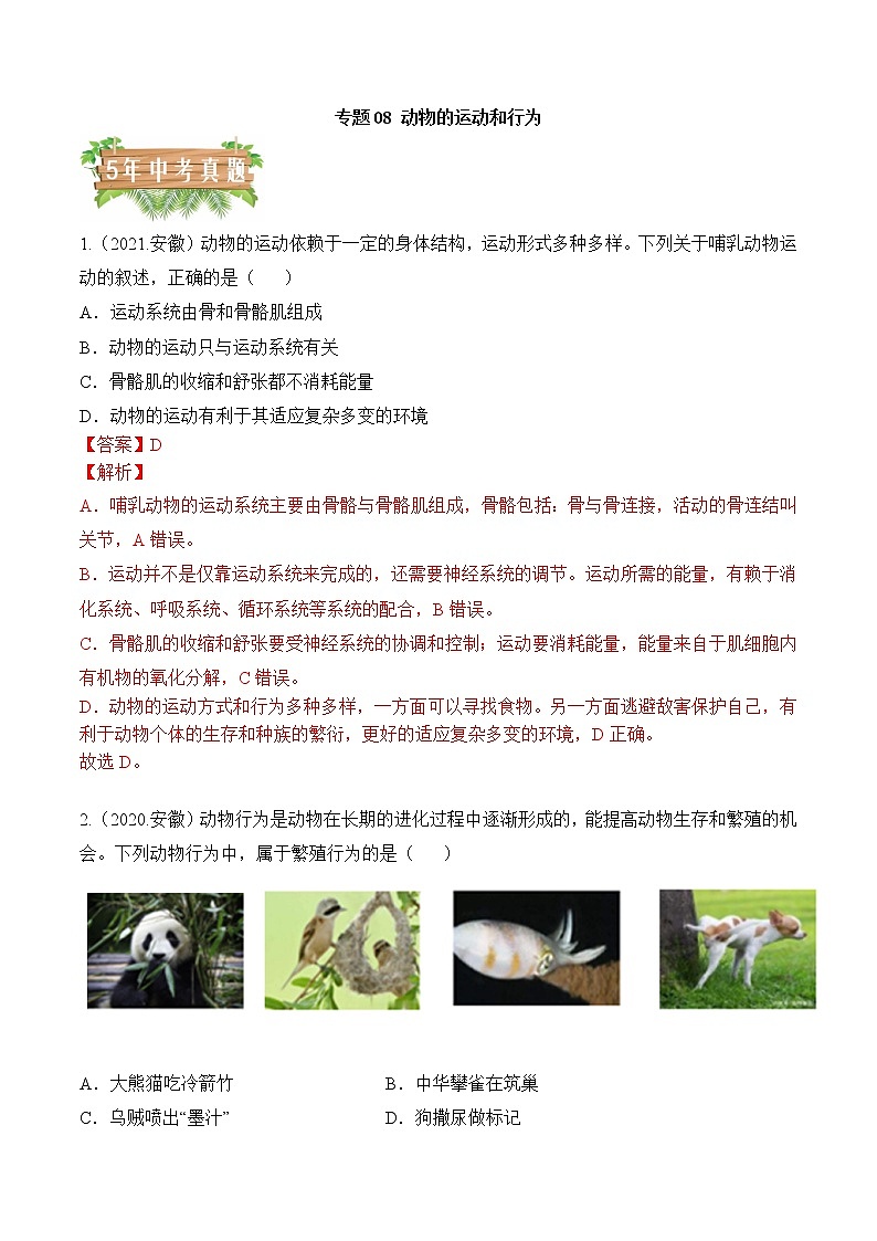 专题08 动物的运动和行为-5年（2018-2022）中考1年模拟生物分项汇编（安徽专用）（解析版） 第1页