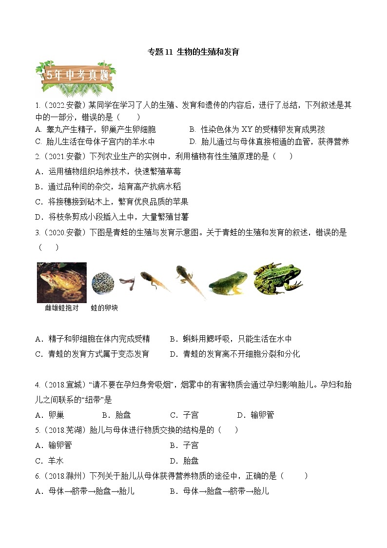 2018-2022年安徽中考生物5年真题1年模拟汇编 专题11 生物的生殖和发育（学生卷+教师卷）01