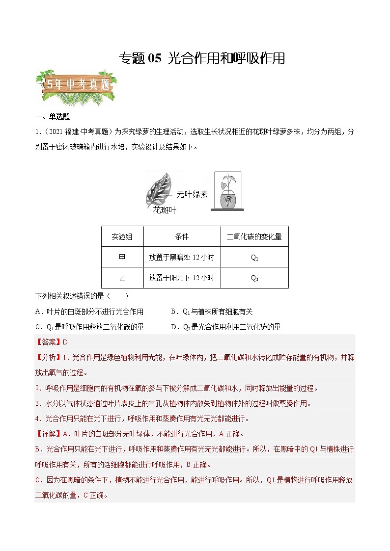 专题05 光合作用和呼吸作用-5年（2018-2022）中考1年模拟生物分项汇编（福建专用）（解析版）第1页