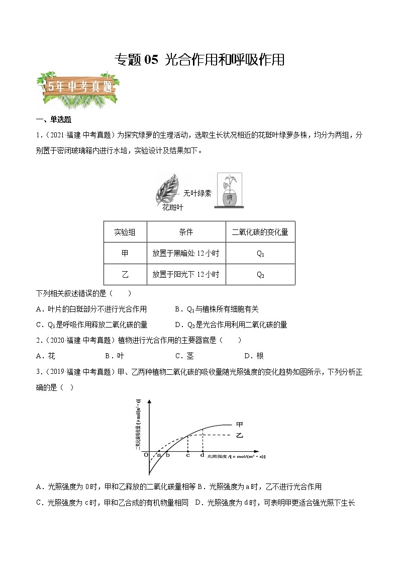 专题05 光合作用和呼吸作用-5年（2018-2022）中考1年模拟生物分项汇编（福建专用）（原卷版）第1页
