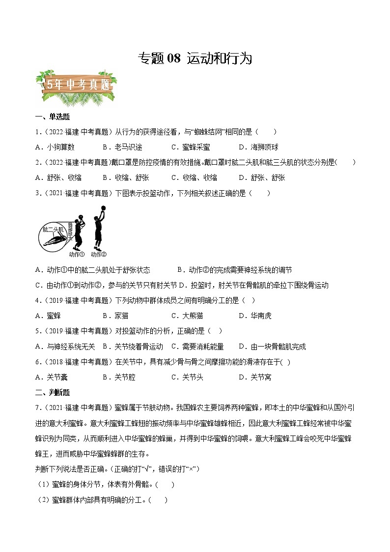 专题08 运动和行为-5年（2018-2022）中考1年模拟生物分项汇编（福建专用）（原卷版）第1页
