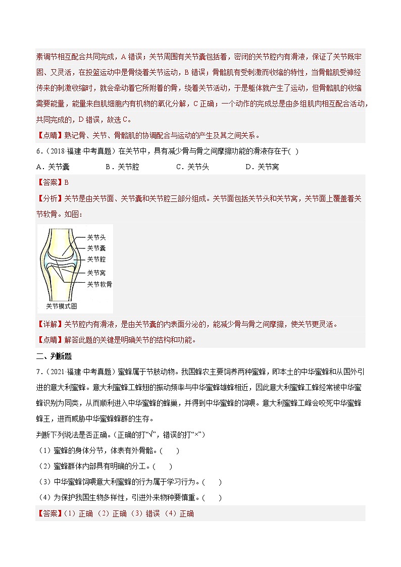 专题08 运动和行为-5年（2018-2022）中考1年模拟生物分项汇编（福建专用）（解析版）第3页
