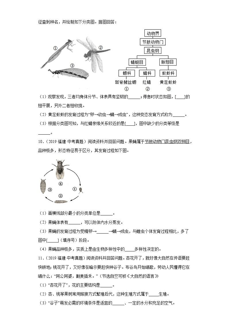 专题09 生殖和发育-5年（2018-2022）中考1年模拟生物分项汇编（福建专用）（原卷版）第2页