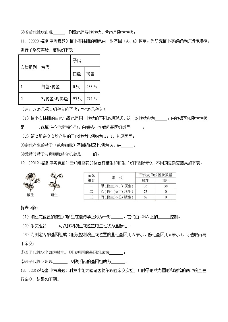 2018-2022年福建中考生物5年真题1年模拟汇编 专题10 遗传和变异（学生卷+教师卷）03