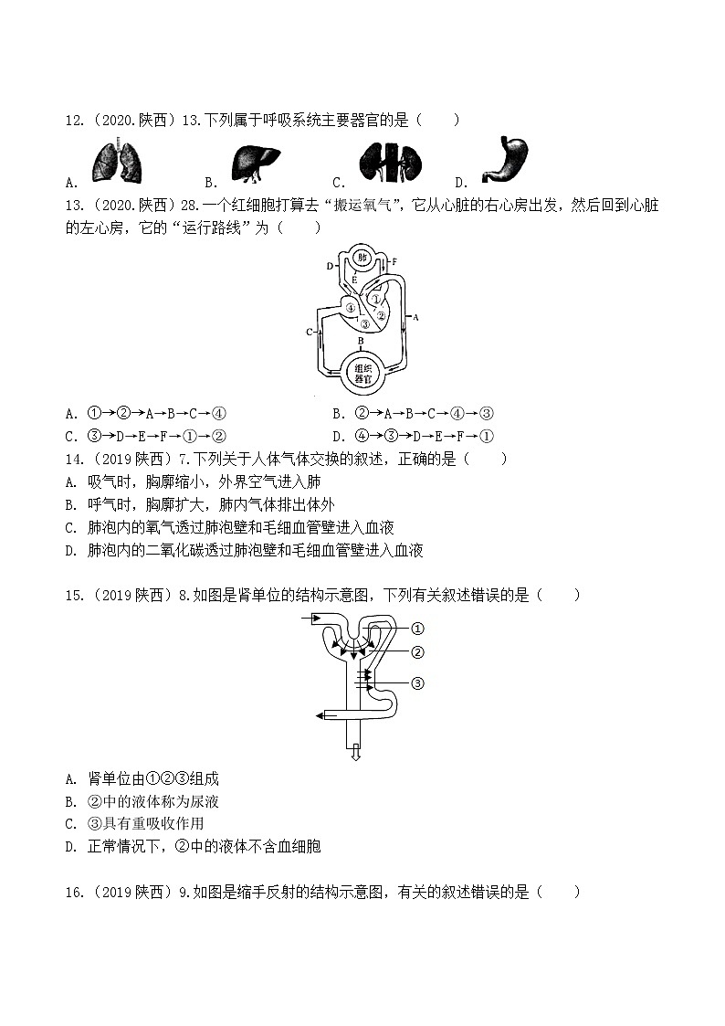 2018-2022年陕西中考生物5年真题1年模拟汇编 专题04 生物圈中的人（学生卷+教师卷）03