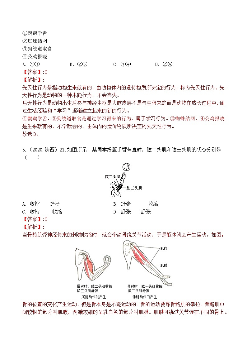 专题05 动物的运动和行为-5年（2018-2022）中考1年模拟生物分项汇编（陕西专用）（解析版）第3页