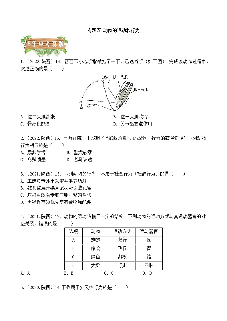 专题05 动物的运动和行为-5年（2018-2022）中考1年模拟生物分项汇编（陕西专用）（原卷版）第1页