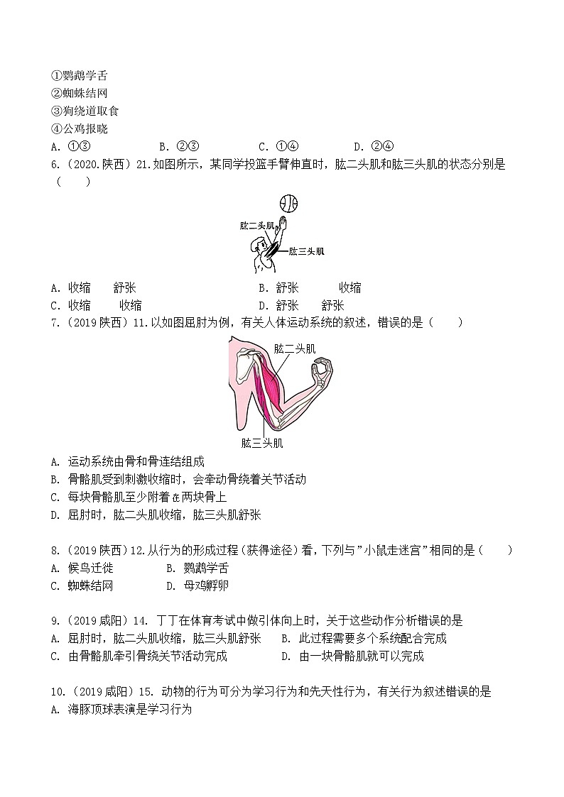 专题05 动物的运动和行为-5年（2018-2022）中考1年模拟生物分项汇编（陕西专用）（原卷版）第2页