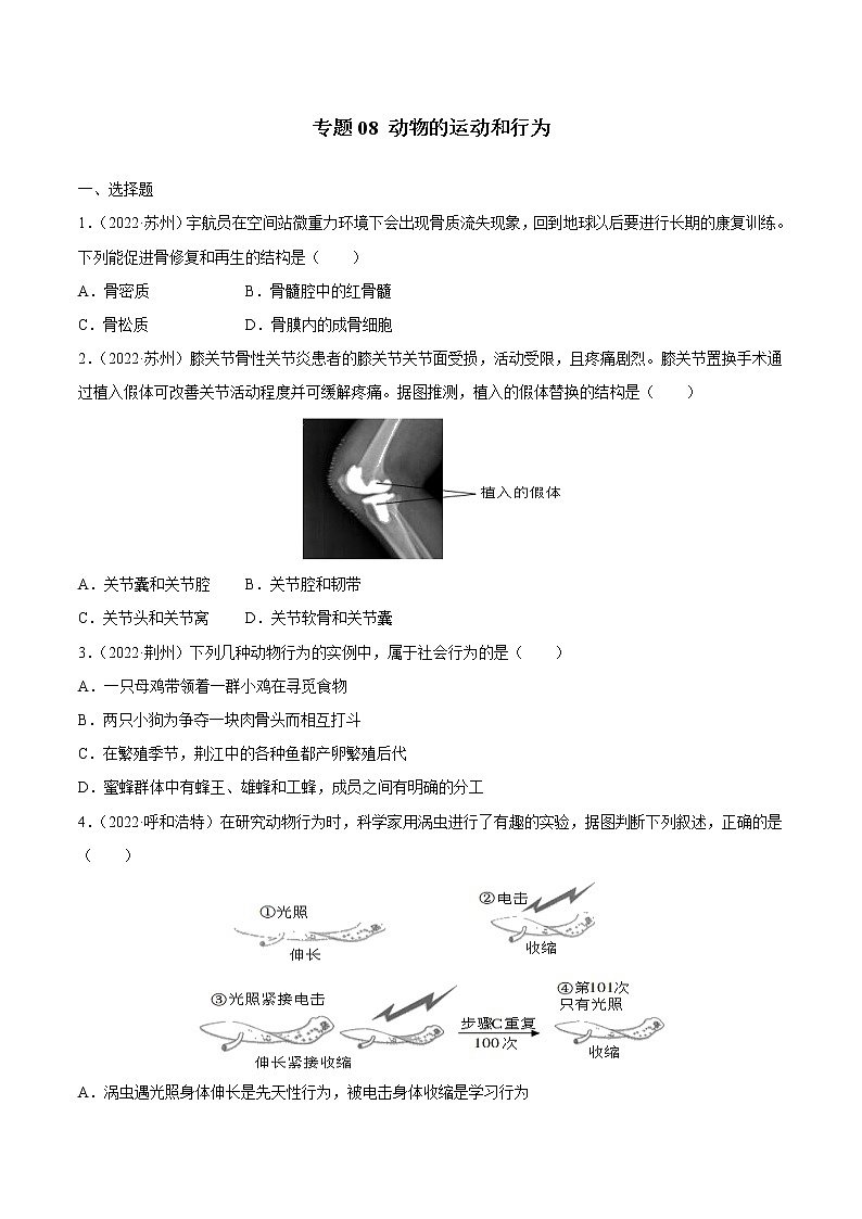 2020-2022年全国中考生物3年真题汇编 专题08 动物的运动和行为（学生卷+教师卷）01