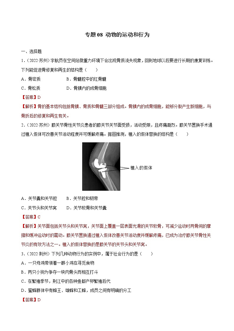 2020-2022年全国中考生物3年真题汇编 专题08 动物的运动和行为（学生卷+教师卷）01