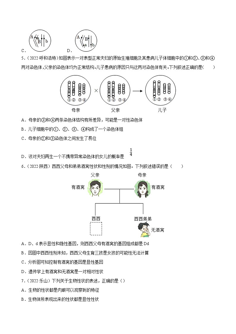 专题12 生物的遗传和变异-三年（2020-2022）中考生物真题分项汇编（全国通用）（原卷版）第2页