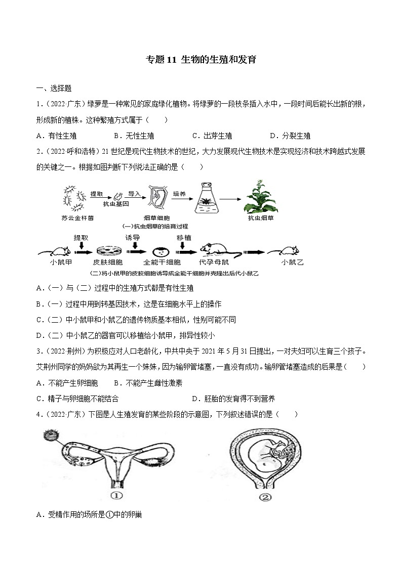2020-2022年全国中考生物3年真题汇编 专题11 生物的生殖和发育（学生卷+教师卷）01