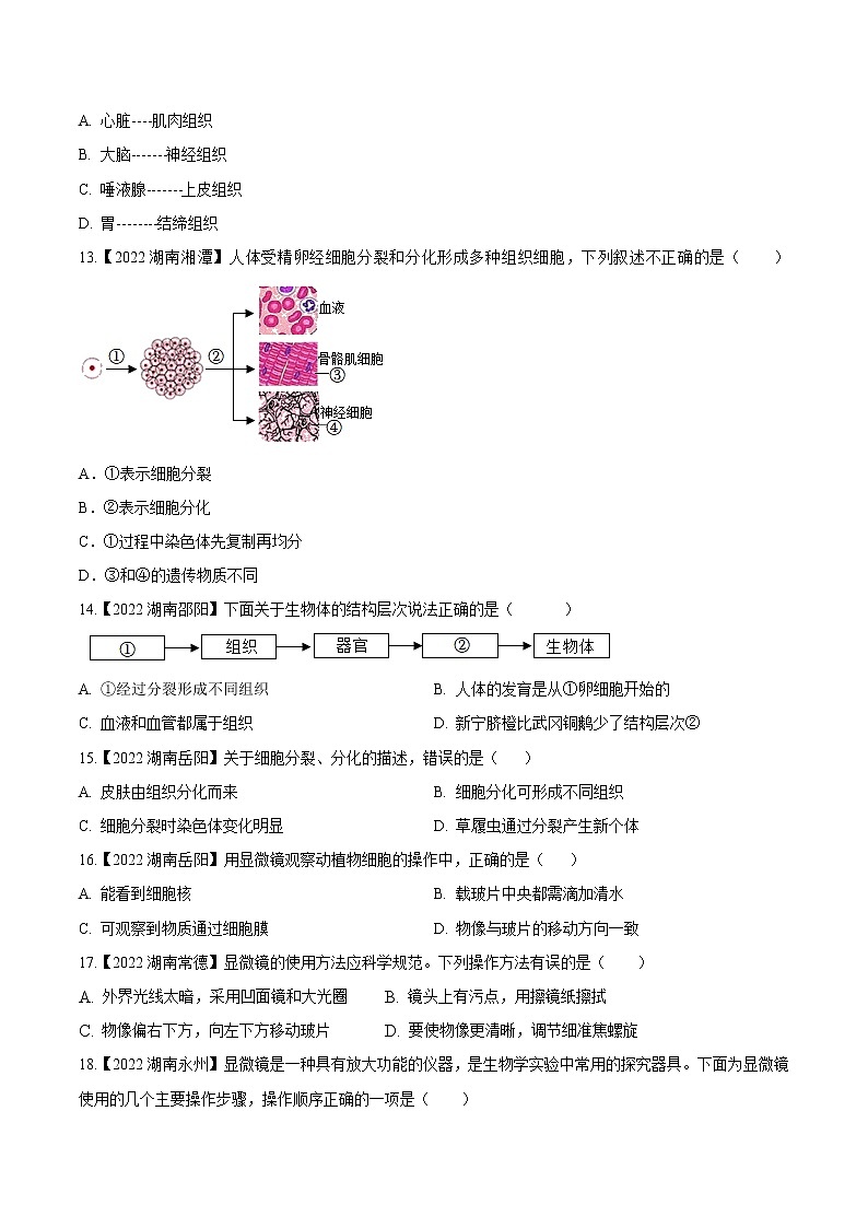专题02 生物体的结构层次-三年（2020-2022）中考生物真题分项汇编（湖南专用）（原卷版）第2页