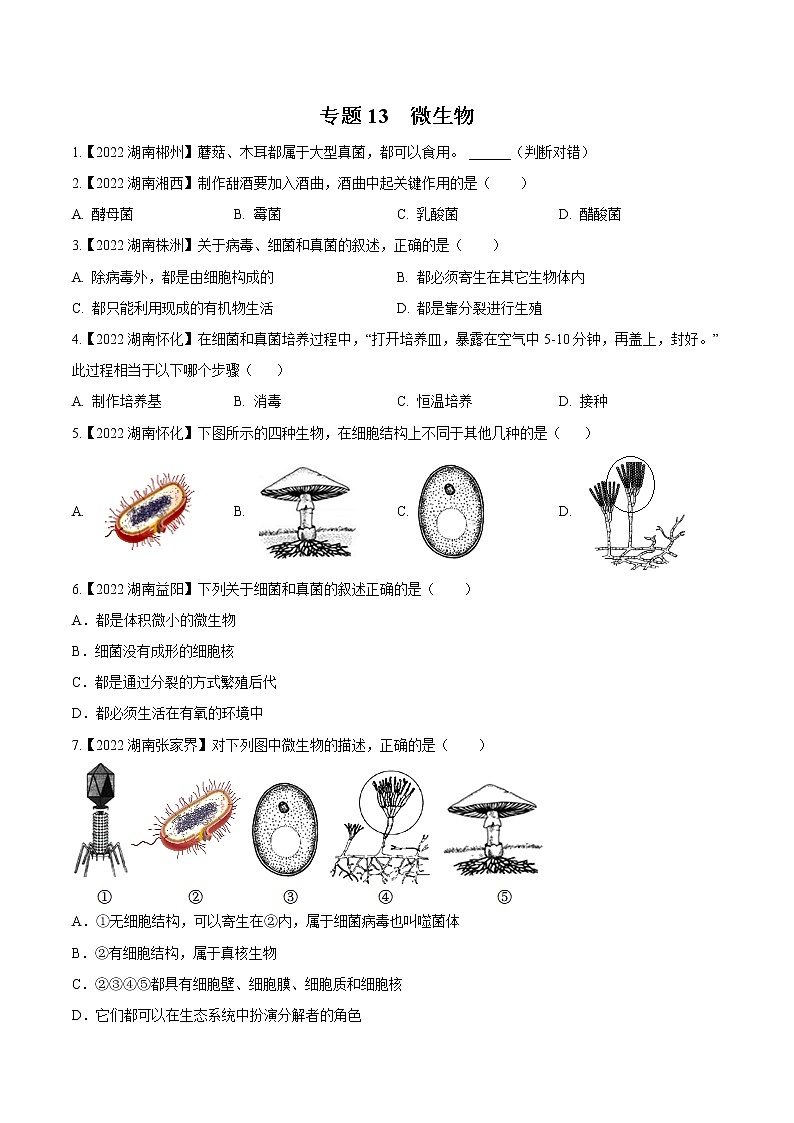 专题13 微生物-三年（2020-2022）中考生物真题分项汇编（湖南专用）（原卷版）第1页