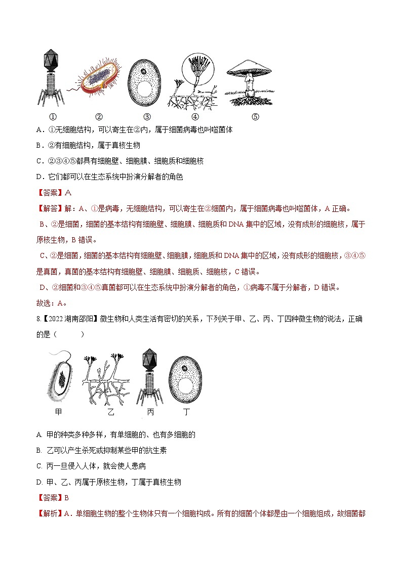 专题13 微生物-三年（2020-2022）中考生物真题分项汇编（湖南专用）（解析版）第3页