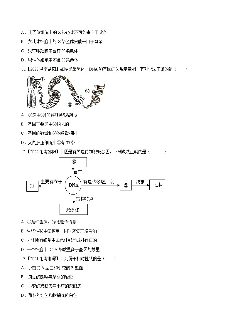 专题15 生物的遗传和变异-三年（2020-2022）中考生物真题分项汇编（湖南专用）（原卷版）第2页