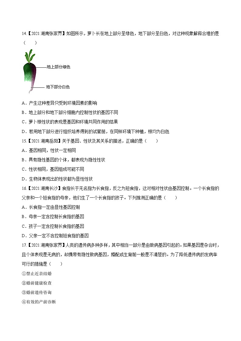 专题15 生物的遗传和变异-三年（2020-2022）中考生物真题分项汇编（湖南专用）（原卷版）第3页