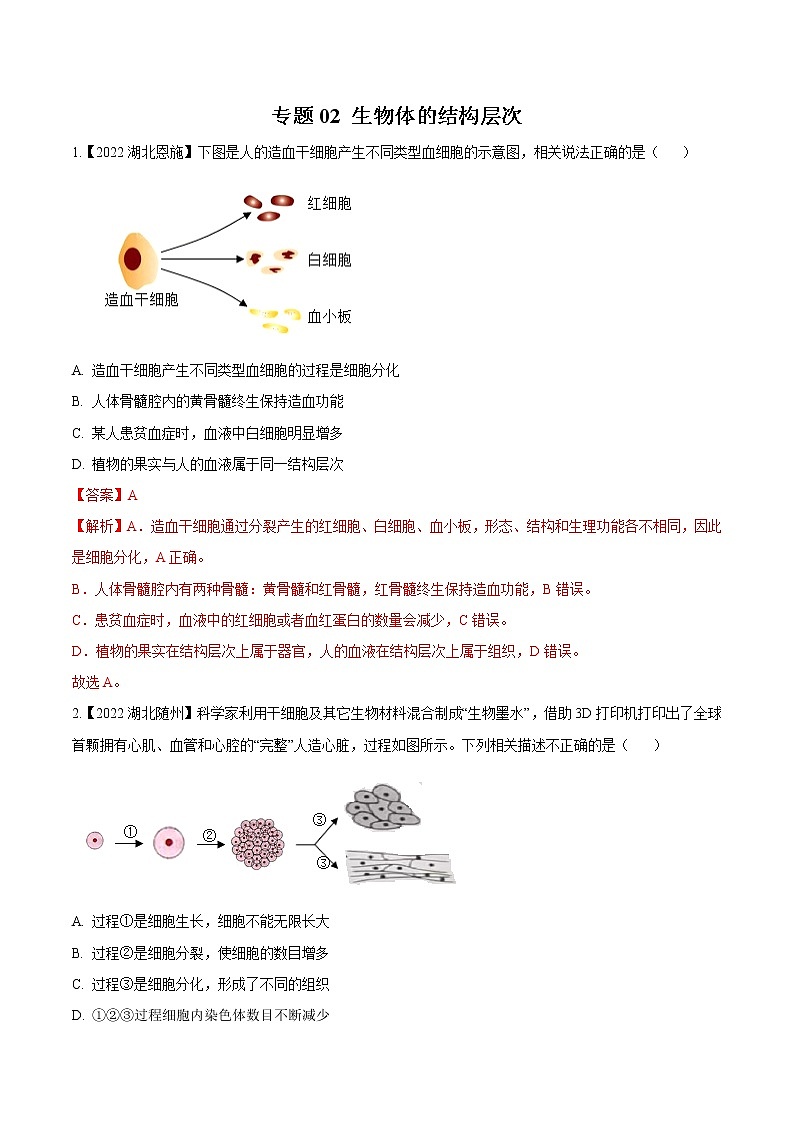 专题02 生物体的结构层次-三年（2020-2022）中考生物真题分项汇编（湖北专用）（解析版）第1页