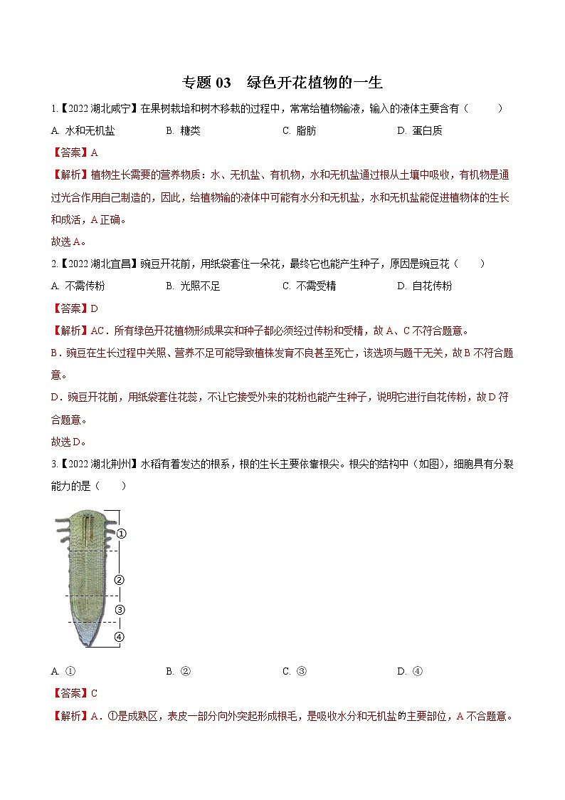 2020-2022年湖北中考生物3年真题汇编 专题03 绿色开花植物的一生（学生卷+教师卷）01