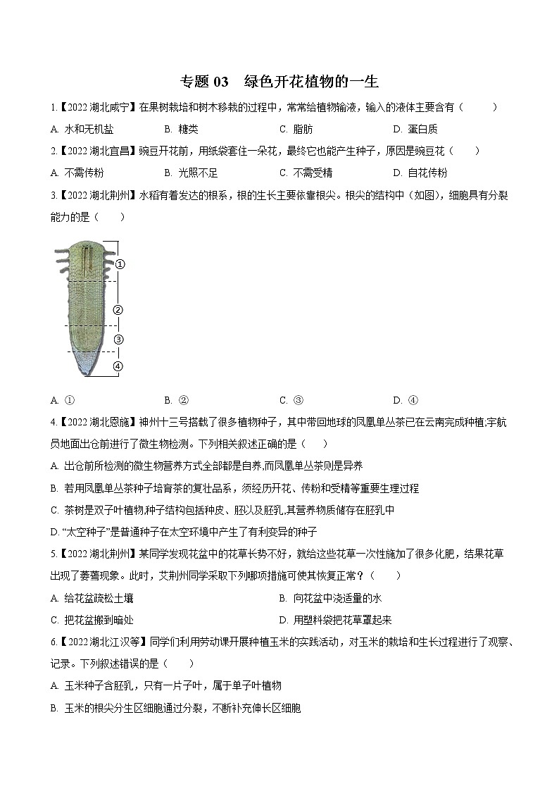 2020-2022年湖北中考生物3年真题汇编 专题03 绿色开花植物的一生（学生卷+教师卷）01