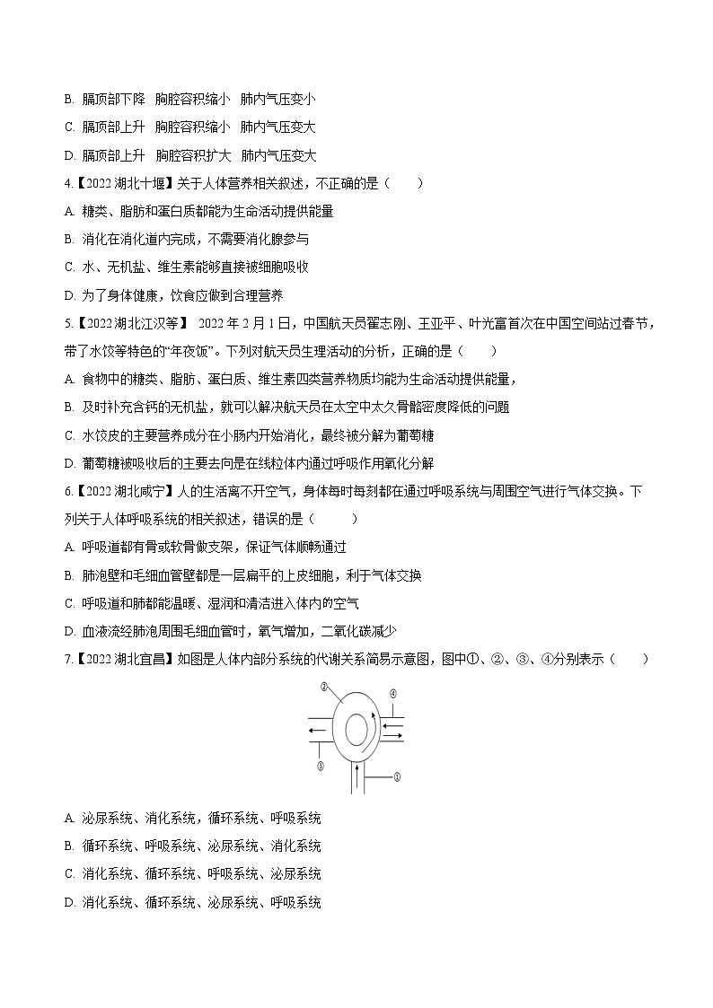 2020-2022年湖北中考生物3年真题汇编 专题05 人体的营养和呼吸（学生卷+教师卷）02