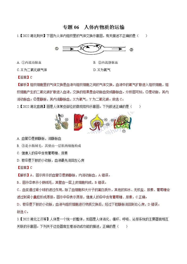 专题06 人体内物质的运输-三年（2020-2022）中考生物真题分项汇编（湖北专用）（解析版）第1页