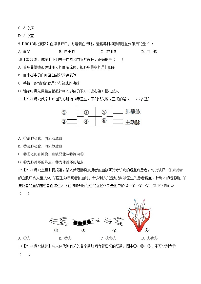 专题06 人体内物质的运输-三年（2020-2022）中考生物真题分项汇编（湖北专用）（原卷版）第3页