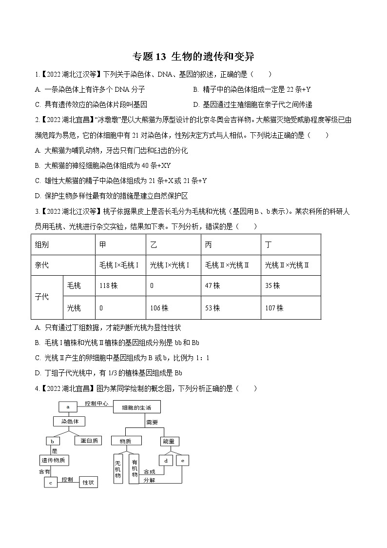 2020-2022年湖北中考生物3年真题汇编 专题13 生物的遗传和变异（学生卷+教师卷）01