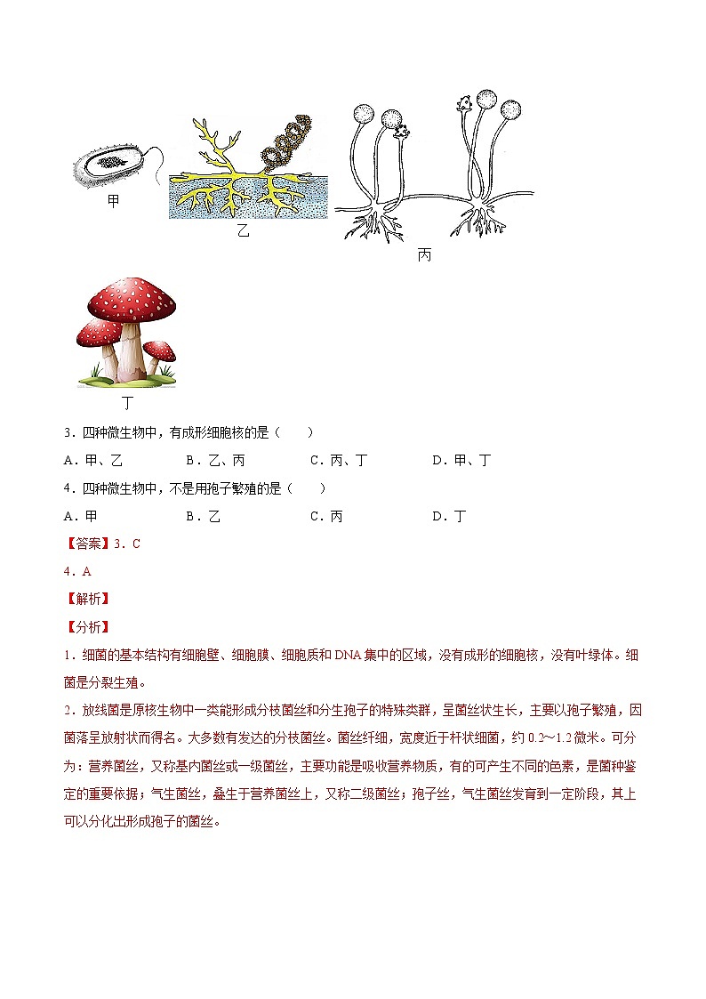 2020-2022年江苏中考生物3年真题汇编 专题09 植物动物和微生物类群（学生卷+教师卷）02