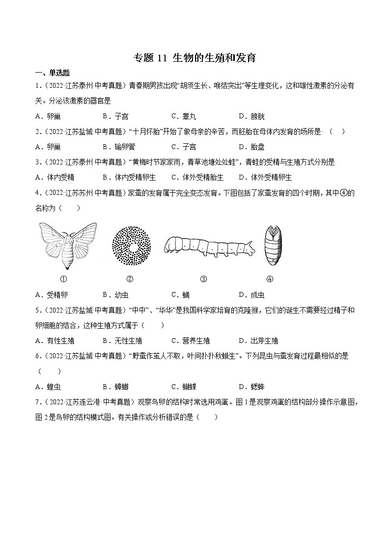 专题11 生物的生殖和发育-三年（2020-2022）中考生物真题分项汇编（江苏专用）（原卷版）第1页