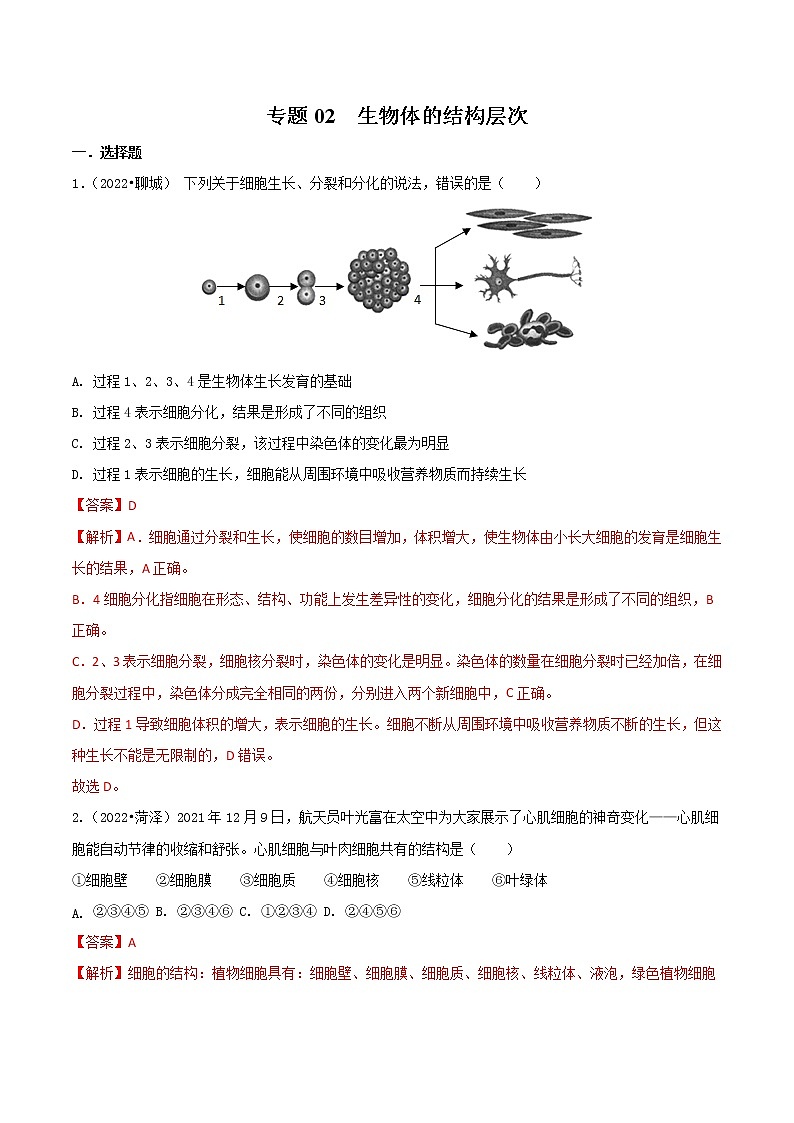专题02 生物体的结构层次-三年（2020-2022）中考生物真题分项汇编（山东专用）（解析版）第1页