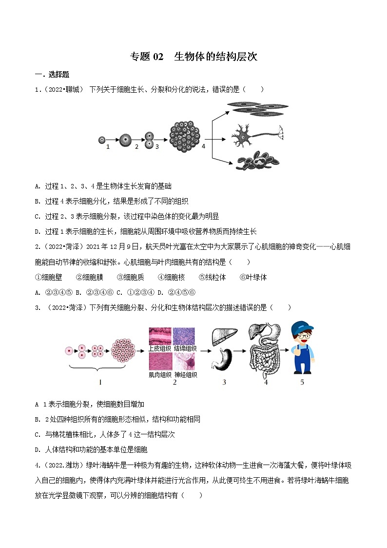 专题02 生物体的结构层次-三年（2020-2022）中考生物真题分项汇编（山东专用）（原卷版）第1页