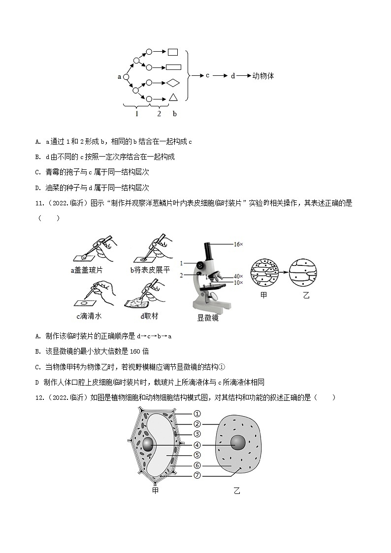 专题02 生物体的结构层次-三年（2020-2022）中考生物真题分项汇编（山东专用）（原卷版）第3页