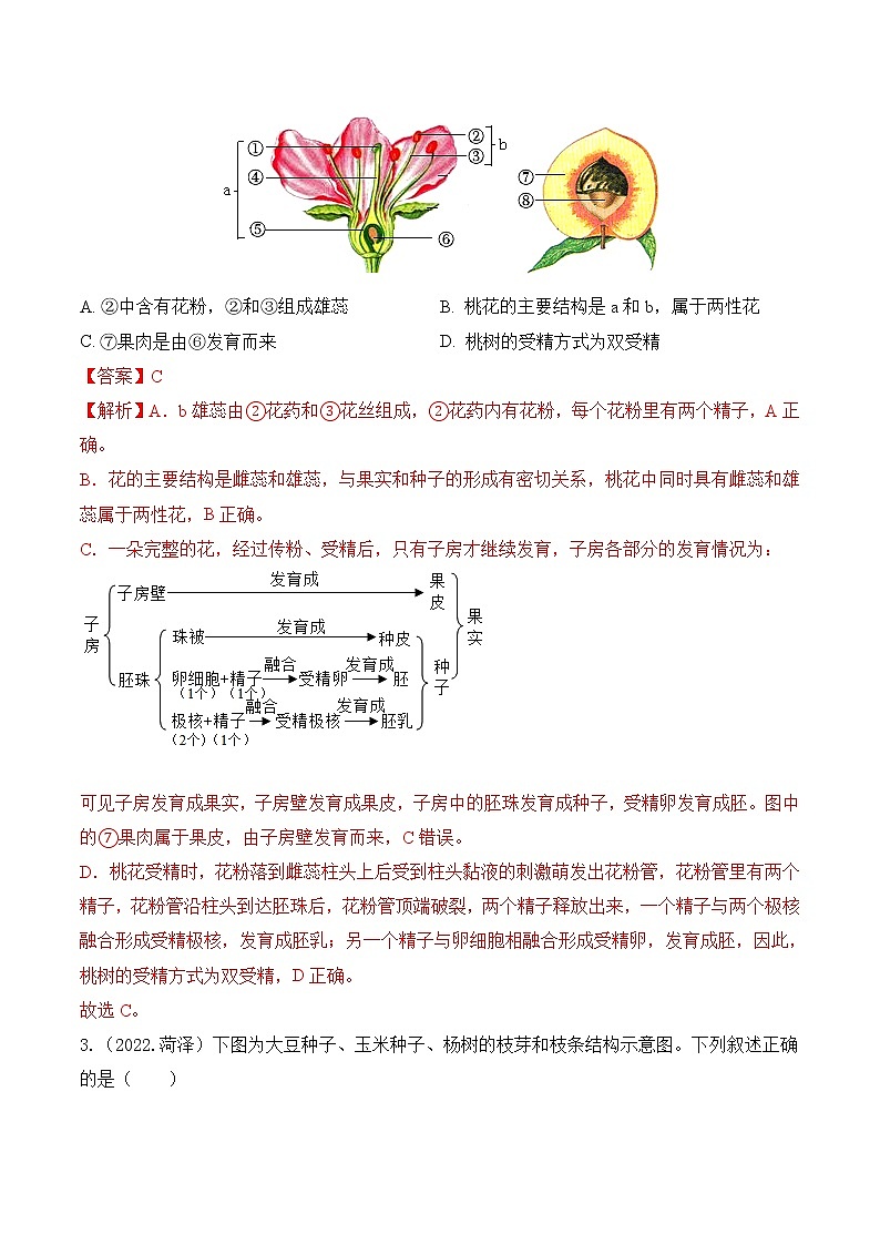 2020-2022年山东中考生物3年真题汇编 专题03 绿色开花植物的一生（学生卷+教师卷）02