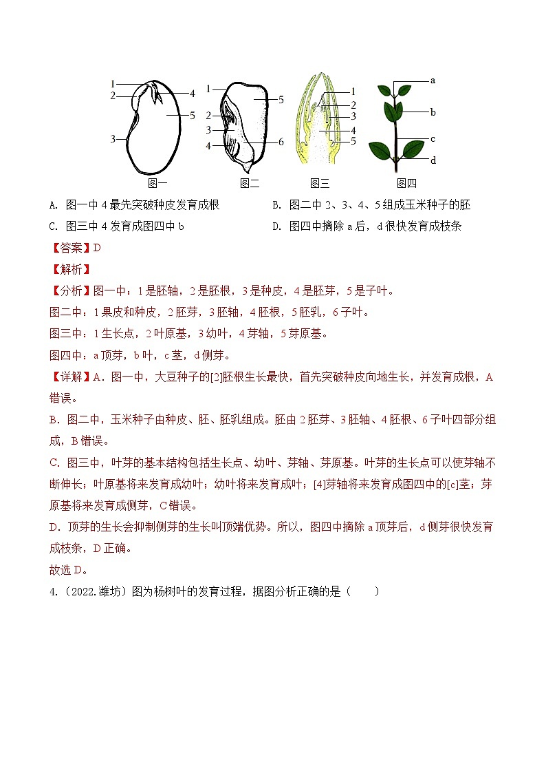 2020-2022年山东中考生物3年真题汇编 专题03 绿色开花植物的一生（学生卷+教师卷）03