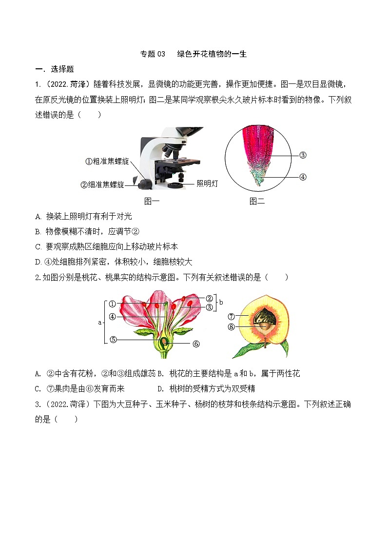 2020-2022年山东中考生物3年真题汇编 专题03 绿色开花植物的一生（学生卷+教师卷）01
