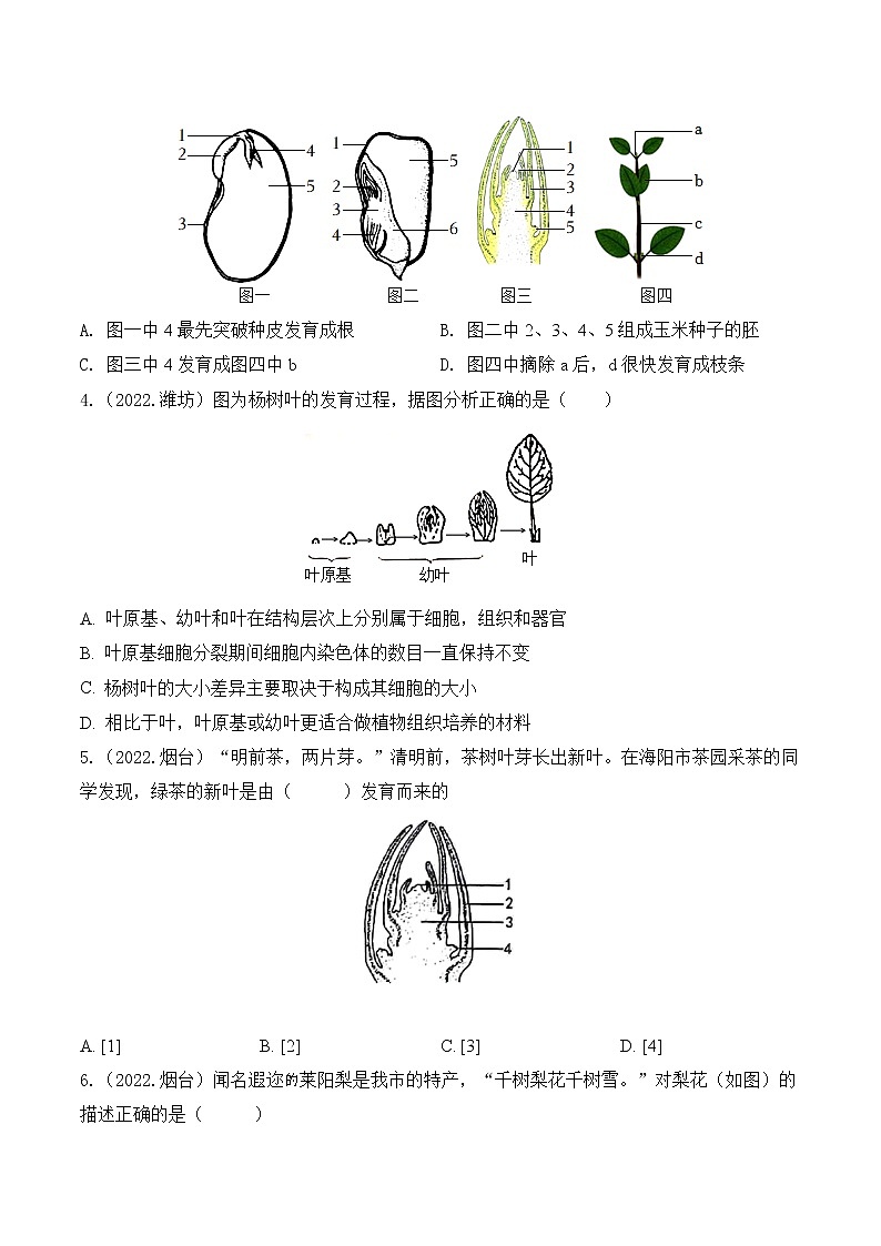 2020-2022年山东中考生物3年真题汇编 专题03 绿色开花植物的一生（学生卷+教师卷）02