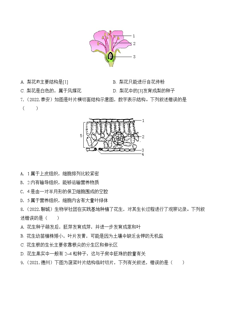2020-2022年山东中考生物3年真题汇编 专题03 绿色开花植物的一生（学生卷+教师卷）03