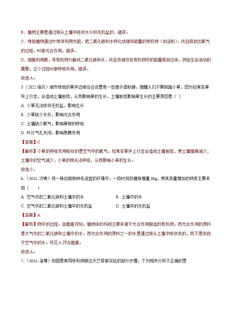 2020-2022年山东中考生物3年真题汇编 专题04 绿色植物的光合作用、蒸腾作用、呼吸作用（学生卷+教师卷）03